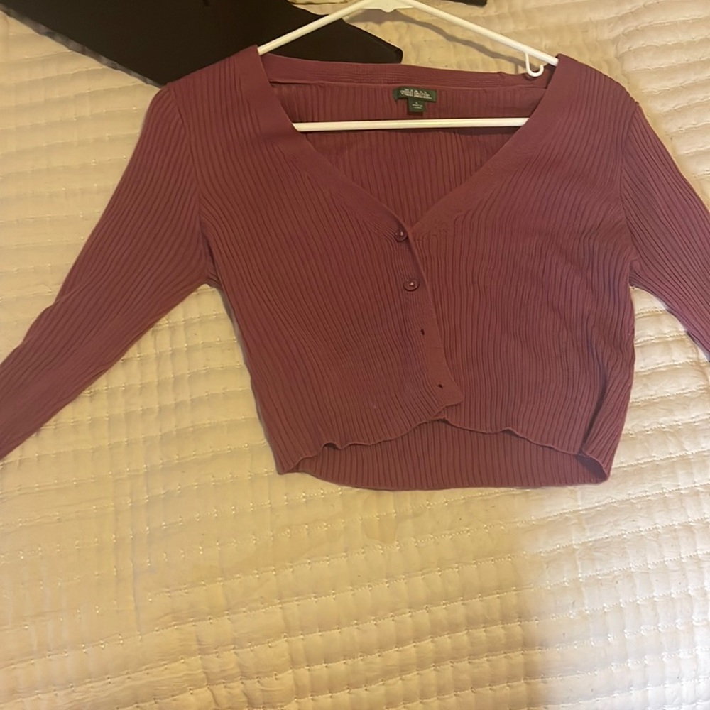 Wild fable sweater crop